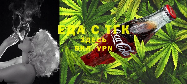 стаф Бронницы