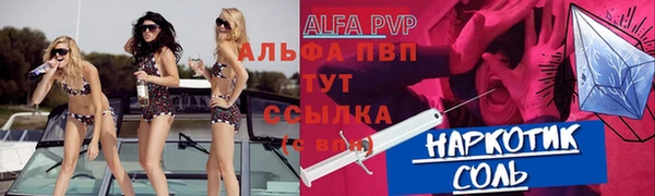 Альфа ПВП Бородино