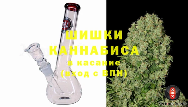 Альфа ПВП Бородино