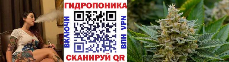 блэк спрут онион  Людиново  МАРИХУАНА план 